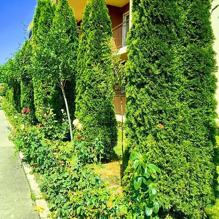 Comfortable Studio Noks - Bastet Bs Daire Sunny Beach
