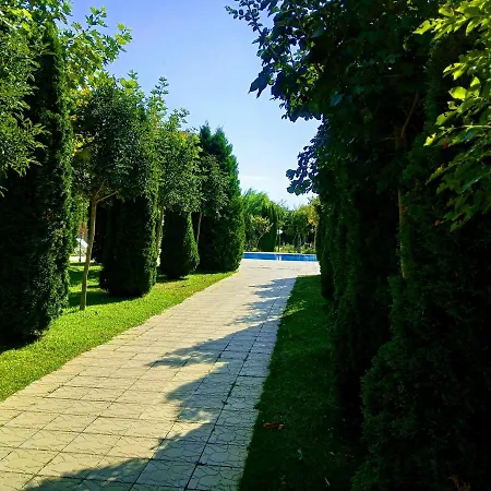 Comfortable Studio Noks - Bastet Bs Apartment *